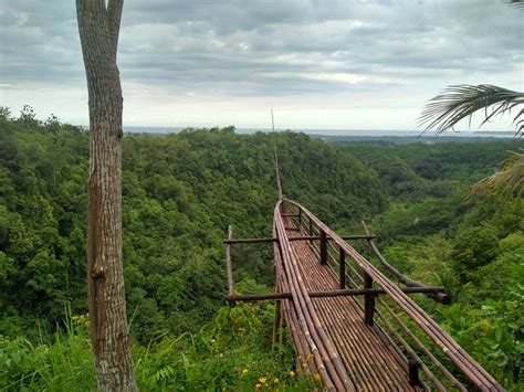 Wonder Hill Jojogan Eksplor Alam Pangandaran Nativeindonesia