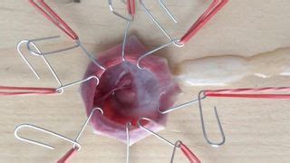 Tomku Gay Porn Creator Videos Free Amateur Nudes XHamster