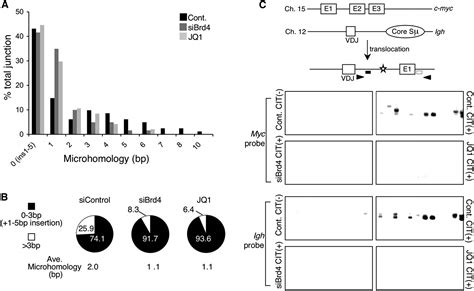 Chromatin Reader Brd Functions In Ig Class Switching As A Repair