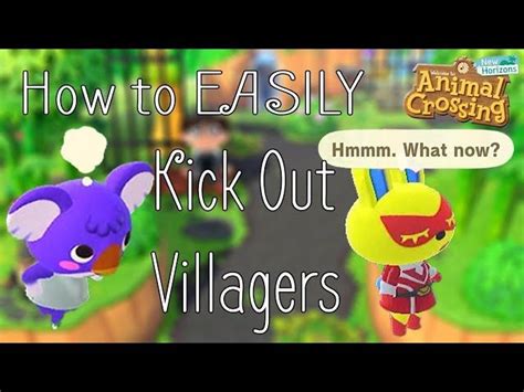 Animal Crossing Kick Out Villager Sora Donald Goofy