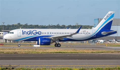 Airbus A N Indigo F Wwig Vt Ipf Msn Aib Aviation