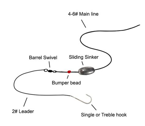 Sinker Rig Fishing