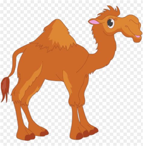 camel - unta cartoon PNG image with transparent background | TOPpng