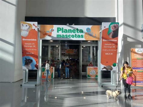 Hacen Segunda Edición De Planeta Mascotas Evento Para Amantes De Los