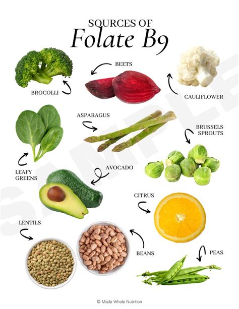 Sources Of Folate B9 Functional Health Research Resources Made