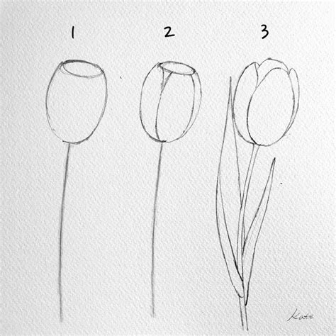 How To Draw Perfect Flowers Step By Step