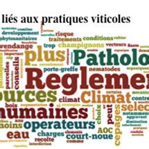 Nuage De Mots Montrant Que La R Glementation Les Ressources Humaines