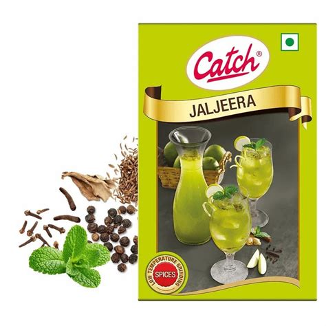 Mints Leave G Catch Jal Jeera Masala Powder Packaging Size Gm