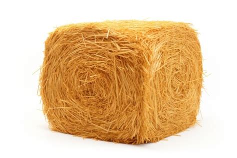 Premium Photo Golden Yellow Hay Bale Isolated On White