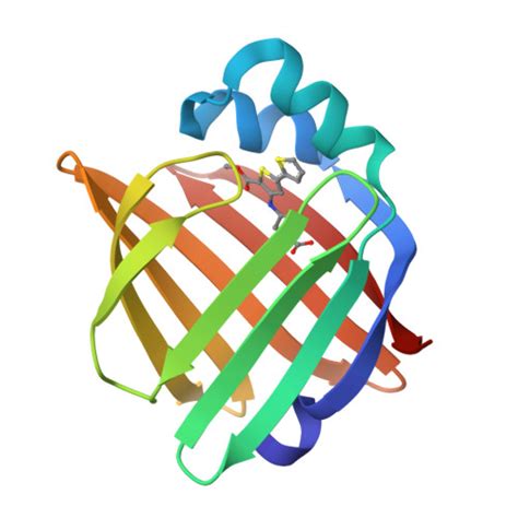 Fatty Acid Binding Protein 4 Fatty Acid Binding Proteins Iupharbps