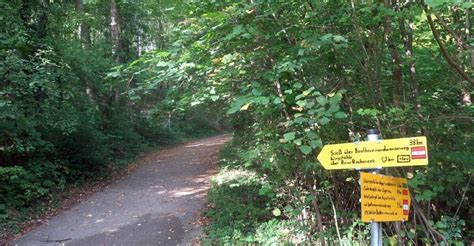 Wegerl Im Helenental Bergfex Wanderung Tour Nieder Sterreich