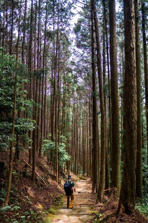 17 Things To Know BEFORE Hiking The Kumano Kodo Pilgrimage Trail