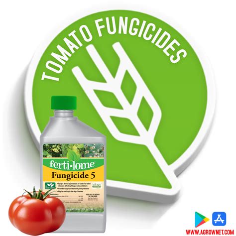 🧪 Tomato Fungicides Understanding The Importance Of Tomato Fungicides In Crop Protection