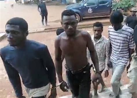 7 Illegal Miners Arrested Dailyguide Network