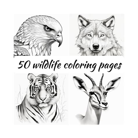 50 Wild Animal Coloring Page jungle Animals Coloring Book Adults and