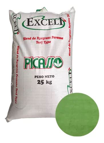 Semillas De C Sped Picasso Excel I Kg Env O Gratis