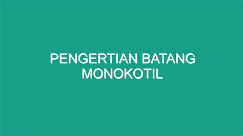 Pengertian Batang Monokotil - Geograf