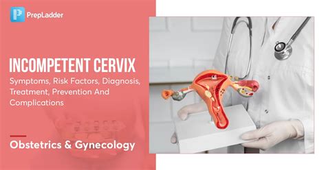 Incompetent Cervix Symptoms Risk Factors And Diagnosis