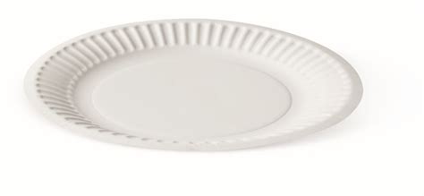 Takeaway 6 Inch Plate White