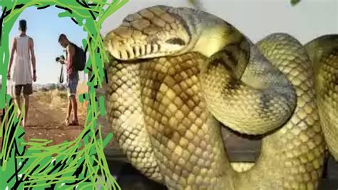 Biggest Snake In The World दुनिया का सबसे बड़ा साप Duniya Ka Sabse