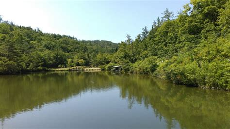 陶史の森 八丁トンボとカキラン 屏風山の写真19枚目 池には鯉や鴨がいて Yamap ヤマップ