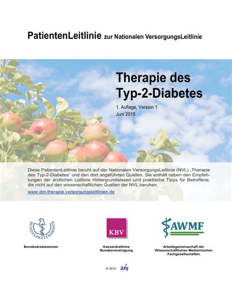 Therapie Des Typ 2