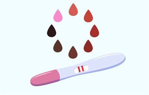 How Long After Implantation Bleeding Can I Test For Pregnancy Femia Health