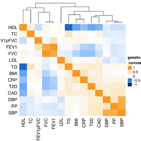 Heat Map Of Genetic Correlation Cross Trait Ld Score Regression Blue