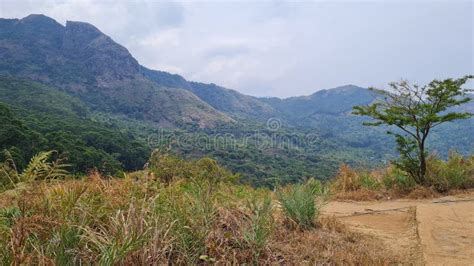 Ooty Coonoor Wayanad Mudumalai National Park Tiger Reserve Pykara