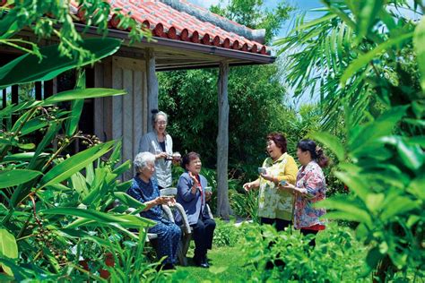 The Rural Charms Of Ogimi Village Visit Okinawa Japan Official