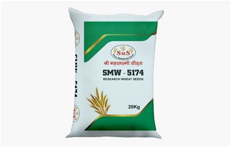 Natural Research Wheat Seed Smw 5174 For Food Processing Packaging Size Plastic Packet At