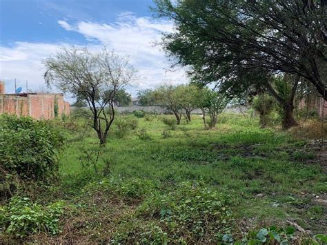 Venta Lote De Terreno En Poncitl N Jalisco Icasas Mx