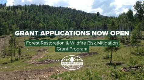 Funding Available For Projects Addressing Forest Health Wildfire Risk Colorado State Forest