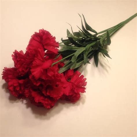 Large Red Carnation Bouquet SF Carnation Bouquet Red Carnation