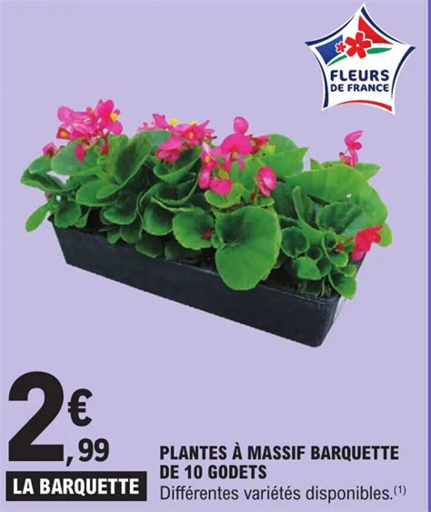 Promo PLANTES À MASSIF BARQUETTE DE 10 GODETS chez E Leclerc