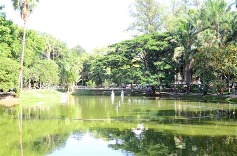 Campo De S O Bento Niter I Atualizado O Que Saber Antes De Ir