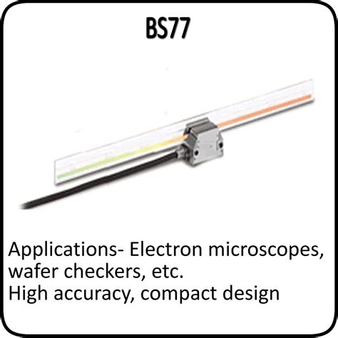 A Tech Authority Exposed Linear Scales