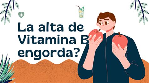 La Falta De Vitamina B Engorda Mito O Realidad