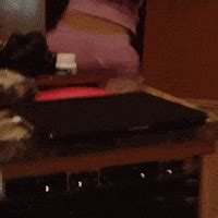 Ass Cheeks Clapping GIFs Find Share On GIPHY