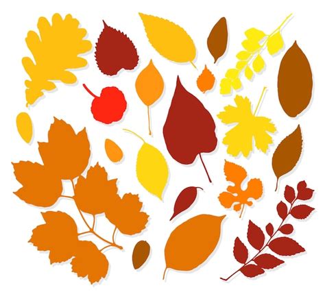 Premium Vector Colorful Autumn Leaves Set On White Background Vector