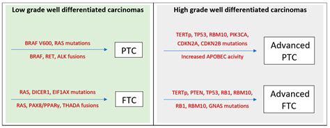 Life Free Full Text Advances In Molecular Profiling And Their