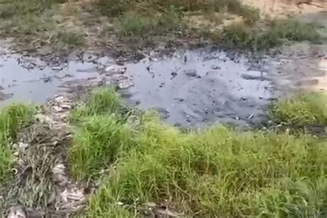 Ecologistas Advierten De Que La Playa De Los Lances En Tarifa Se Ha