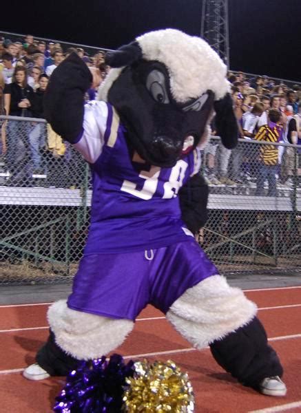 Mascot Story | Fort Collins High School