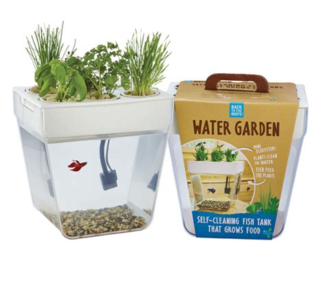 This smaller food-growing fish tank ($60). | Self cleaning fish tank ...