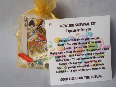 New Job Novelty Survival Kit Gift Keepsake Fun Present Ebay