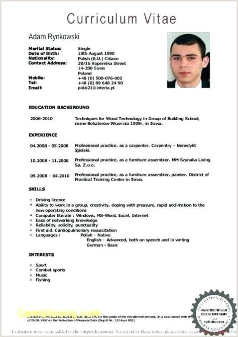 Exemple De Curriculum Vitae En Anglais Pdf Cv Format Curriculum