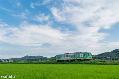 鉄道風景写真が撮りたーいっ！ 北条鉄道写真 14