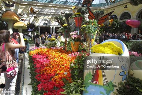 69 Bellagio Conservatory Stock Photos, High-Res Pictures, and Images ...