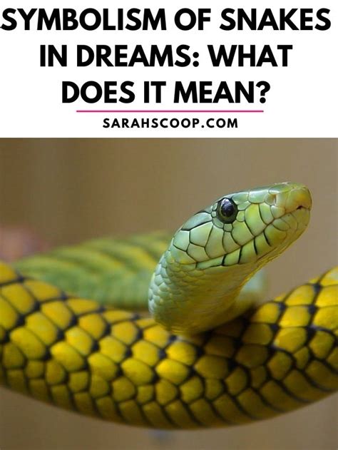 Symbolism of Snakes in Dreams: What Does it Mean? | Sarah Scoop