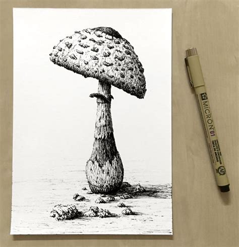 Pencil Drawing of Mushroom on Table